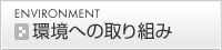���ւ̎��g��