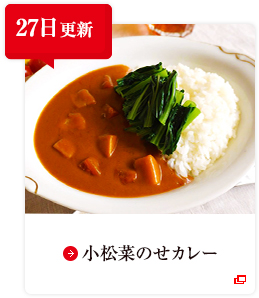 27日更新 小松菜のせカレー