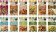 �ʐ^�F�n�E�X�u�X�p�C�X�N�b�L���O�v�S12��
