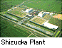 Photo: Shizuoka Plant