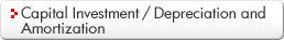 Capital Investment / Depreciation and Amortization
