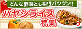 �ǂ�Ȗ�؂Ƃ������o�c�O���I�I �n���V���C�X���W