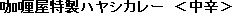 �J���[�������n���V�J���[�@�����h��
