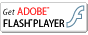 Get FLASH PLAYER