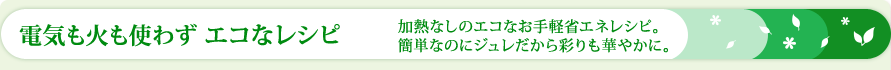 �d�C���΂��g�킸�G�R�ȃ��V�s