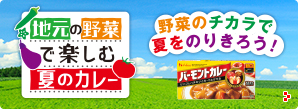 地元の野菜で楽しむ夏のカレー