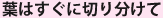 �t�͂����ɐ؂蕪����