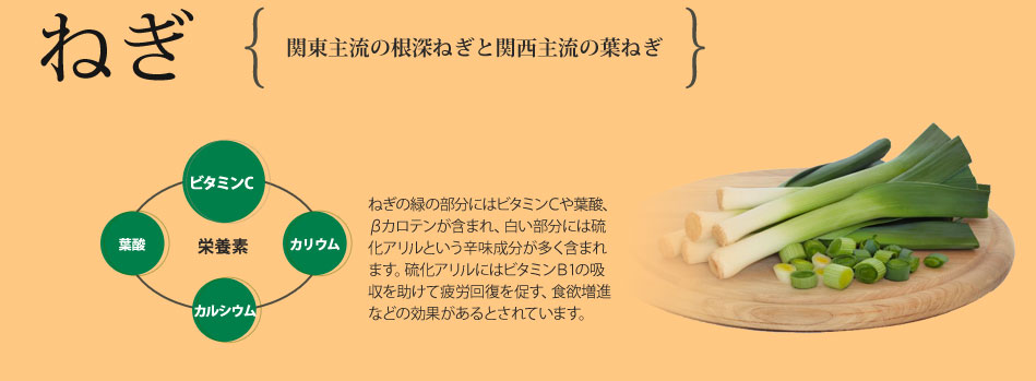 �˂��A�֓��嗬�̍��[�˂��Ɗ֐��嗬�̗t�˂��@�h�{�f�@�r�^�~��C�@�J���E���@�J���V�E���@�t�_�@�˂��̗΂̕����ɂ̓r�^�~���b��t�_�A���J���e�����܂܂�A���������ɂ͗����A�����Ƃ����h�������������܂܂�܂��B�����A�����ɂ̓r�^�~���a1�̋z���������Ĕ�J�񕜂𑣂��A�H�~���i�Ȃǂ̌��ʂ�����Ƃ���Ă��܂��B