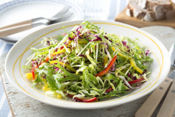 カット野菜シェイクサラダ