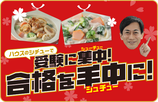 ハウスのシチューで受験に集中！合格を手中に！