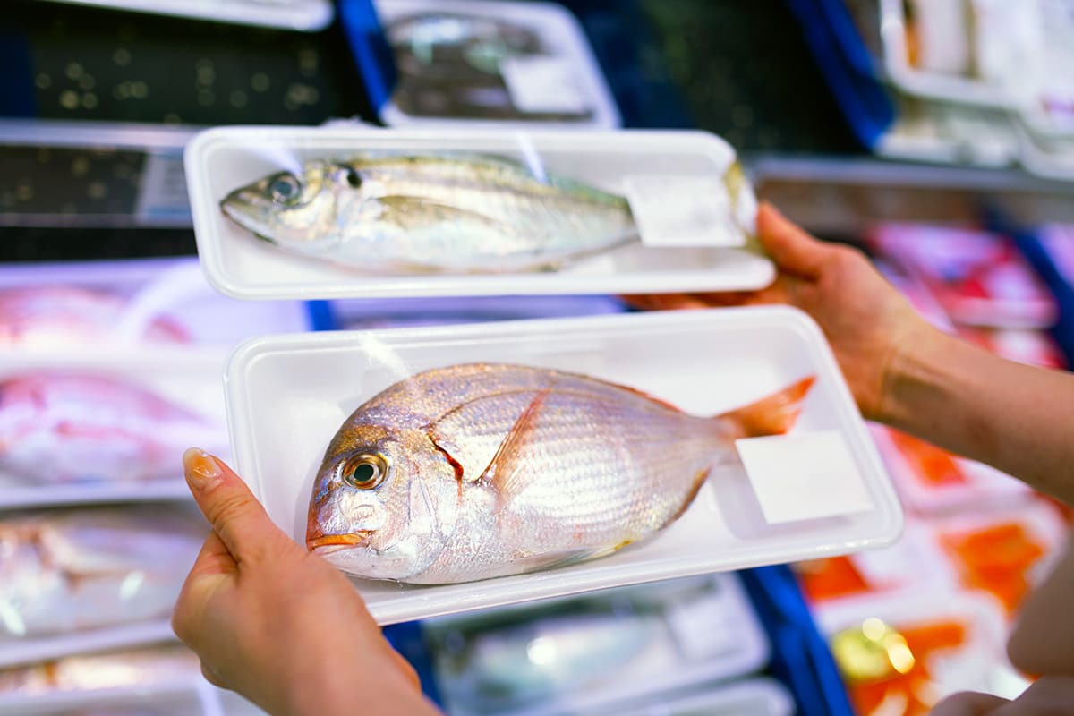 スーパーで魚を選んでいる画像
