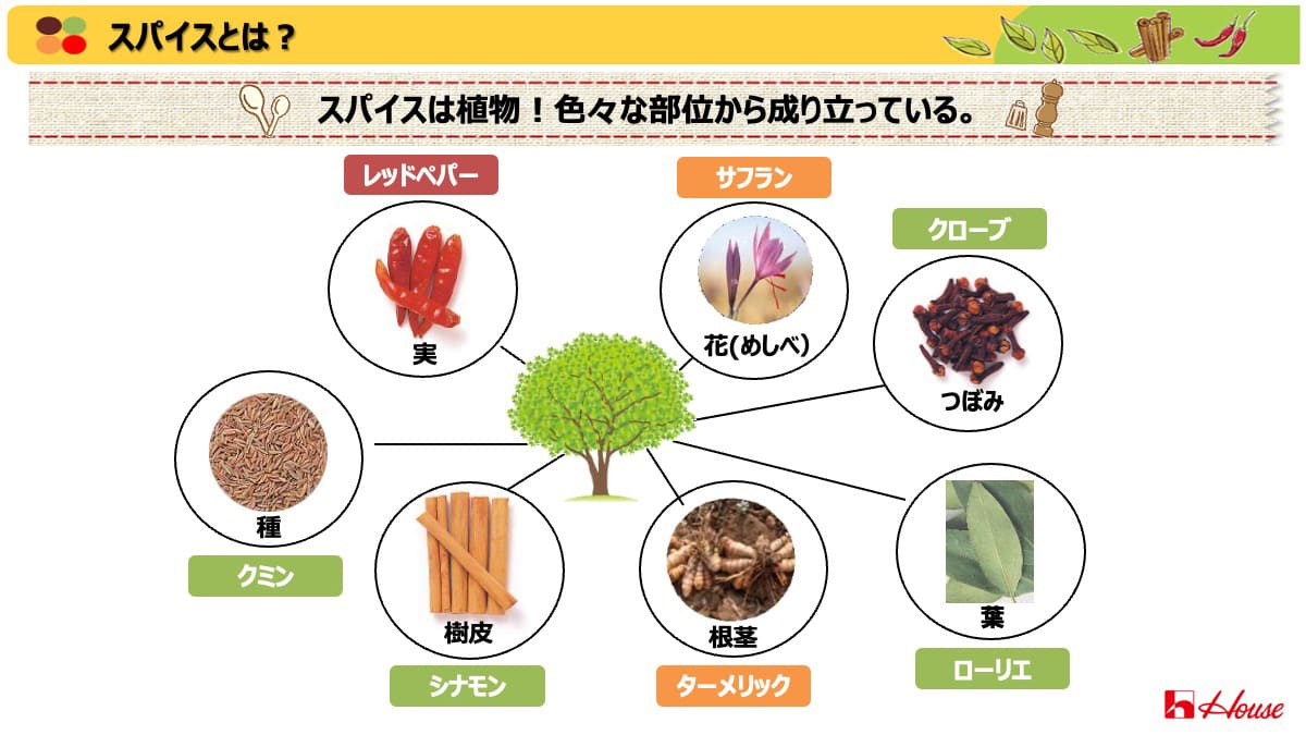 スパイスの種類