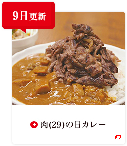 9日更新 肉(29)の日カレー