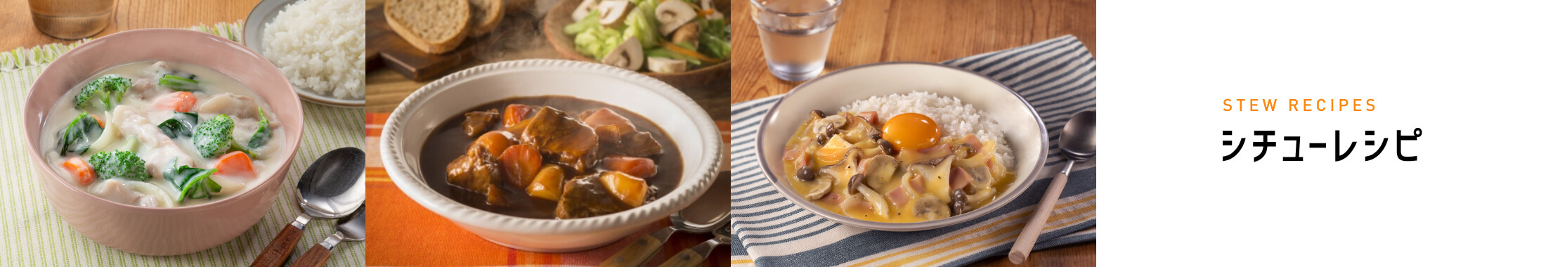 STEW RECIPES シチューレシピ