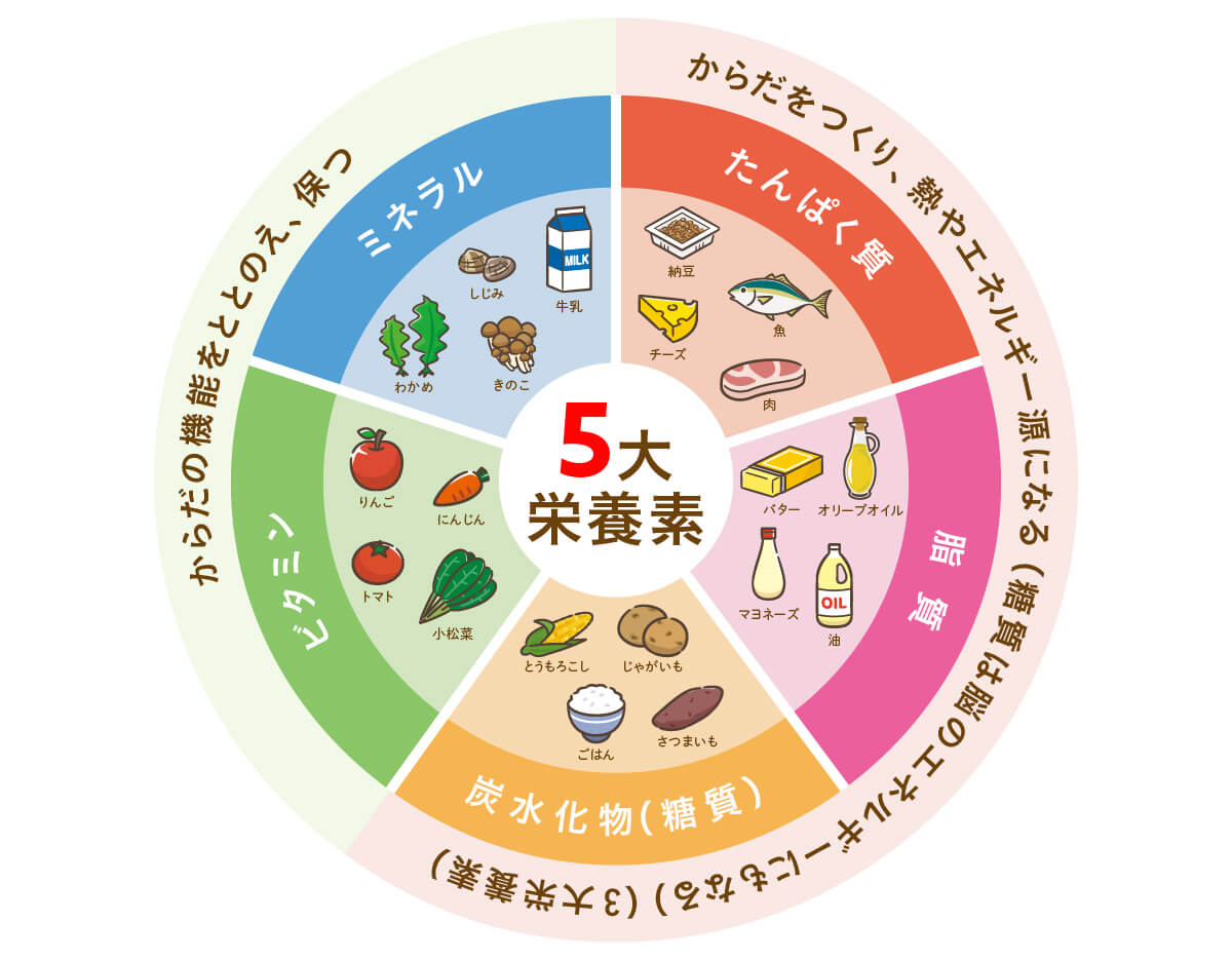 5大栄養素の表
