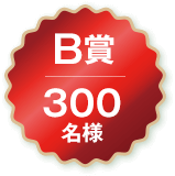 B賞 300名様