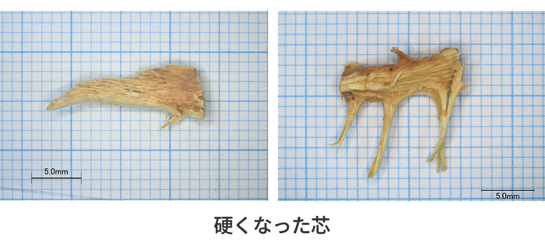 硬くなった芯