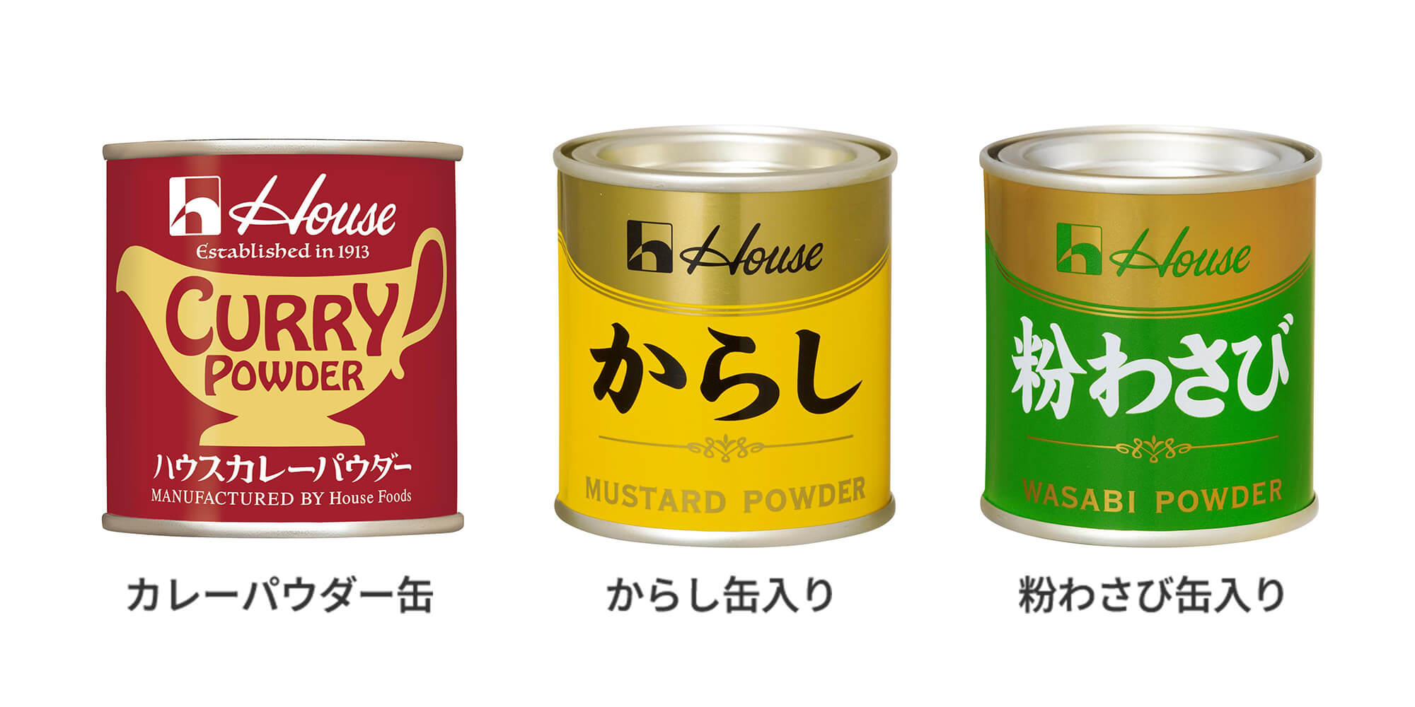 カレーパウダー缶 からし缶 粉わさび缶入り