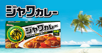 185g　ジャワカレー　＜中辛＞