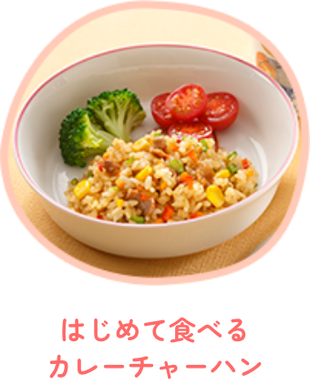 はじめて食べるカレーチャーハン
