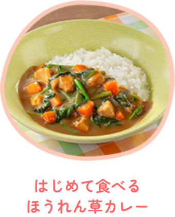 はじめて食べるほうれん草カレー