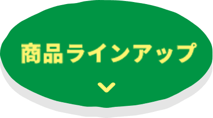商品ラインアップ