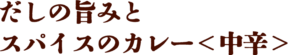 だしの旨みとスパイスのカレー＜中辛＞