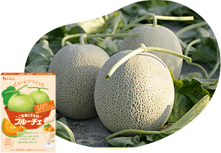 「北海道産富良野メロン」ピューレ使用