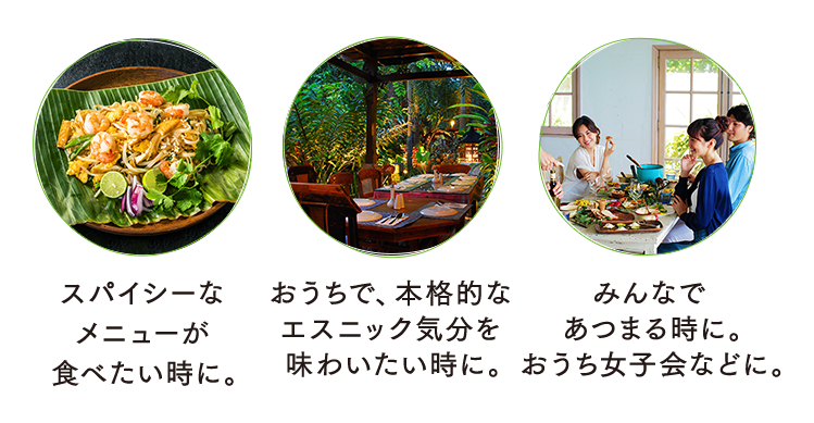 エスニックガーデン ブランドサイト ハウス食品