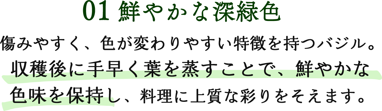 01鮮やかな深緑色 傷みやすく、色が変わりやすい特徴を持つバジル。収穫後に手早く葉を蒸すことで、鮮やかな色味を保持し、料理に上質な彩りをそえます。