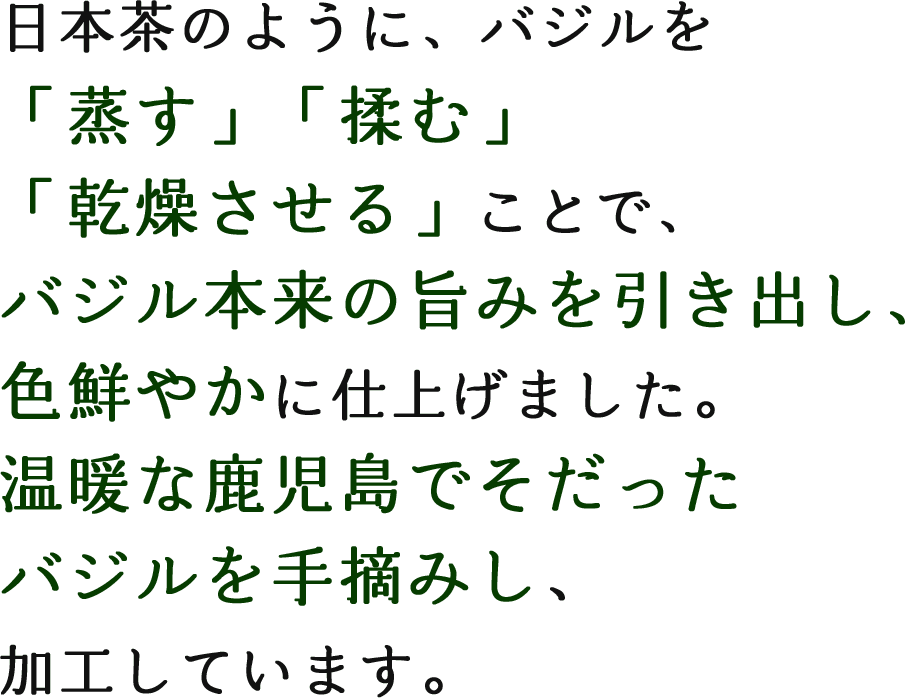 日本茶のように、バジルを「蒸す」「揉む」「乾燥させる」ことで、バジル本来の旨みを引き出し、色鮮やかに仕上げました。温暖な鹿児島でそだったバジルを手摘みし、加工しています。