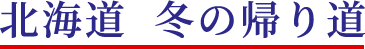 北海道 冬の帰り道