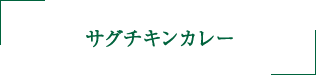 サグチキンカレー