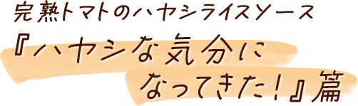 完熟トマトのハヤシライスソース 『ハヤシな気分になってきた!』篇
