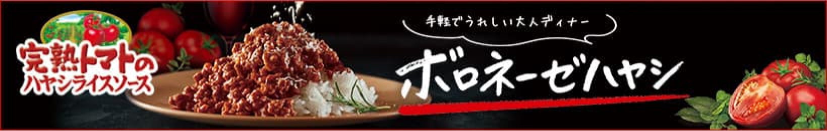 ボロネーゼハヤシ