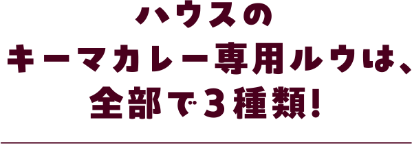 ハウスのキーマカレー専用ルウは、全部で3種類！