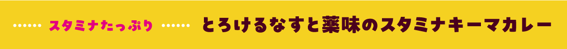 スタミナたっぷり とろけるなすと薬味のスタミナキーマカレー