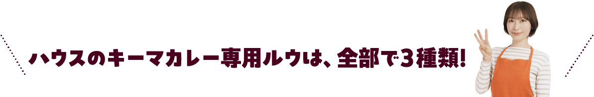 ハウスのキーマカレー専用ルウは、全部で３種類!