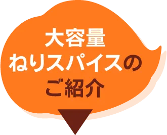 大容量ねりスパイスのご紹介