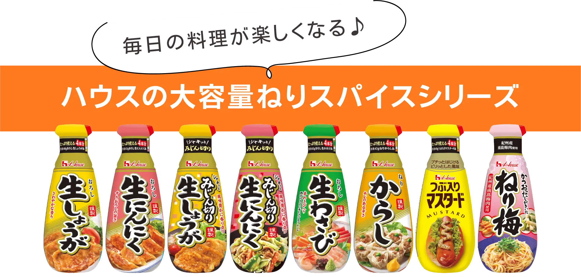 毎日の料理が楽しくなる♪ ハウスの大容量ねりスパイスシリーズ