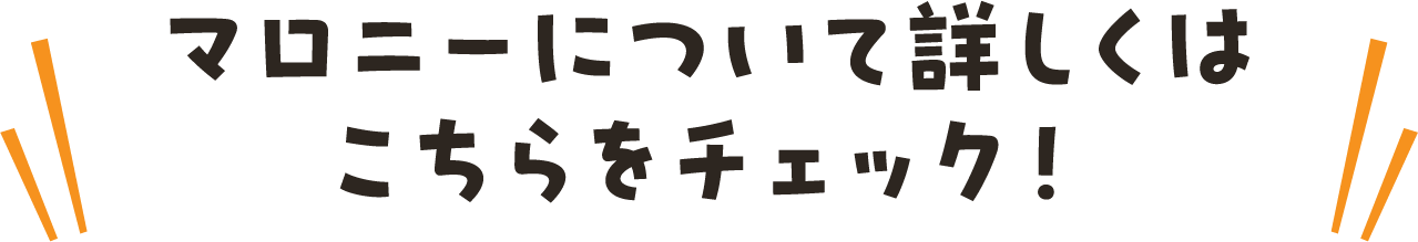 マロニーについて詳しくはこちらをチェック！
