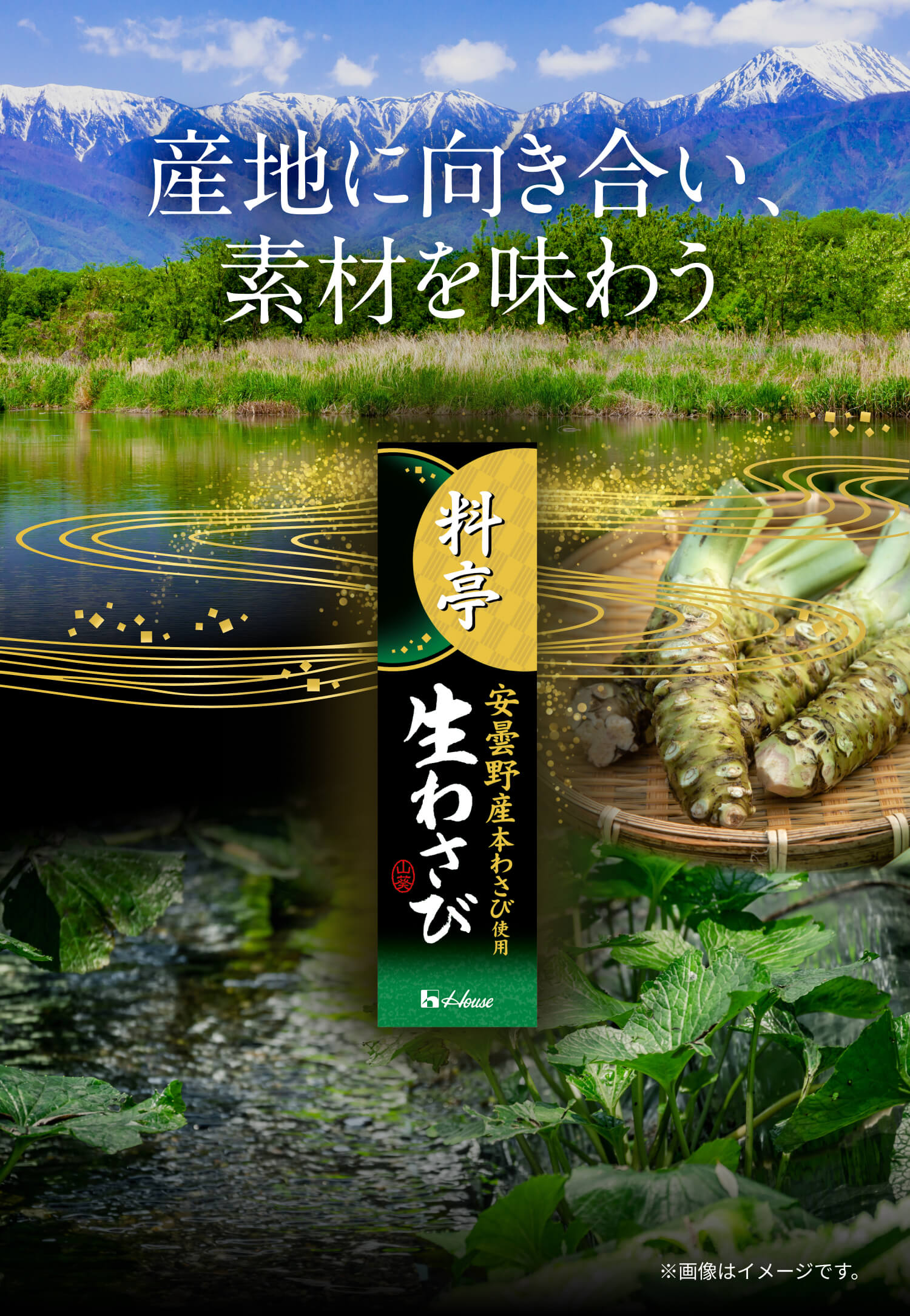 産地に向き合い、素材を味わう