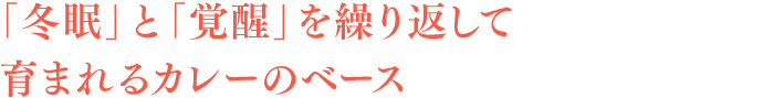 「冬眠」と「覚醒」を繰り返して育まれるカレーのベース