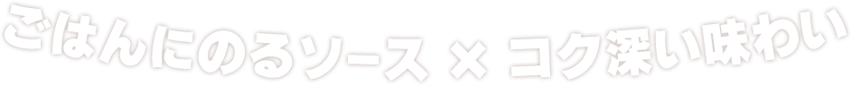 ごはんにのるソースxコク深い味わい