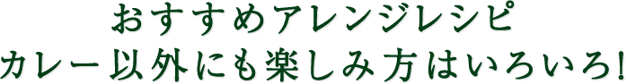 おすすめアレンジレシピ カレー以外にも楽しみ方はいろいろ!