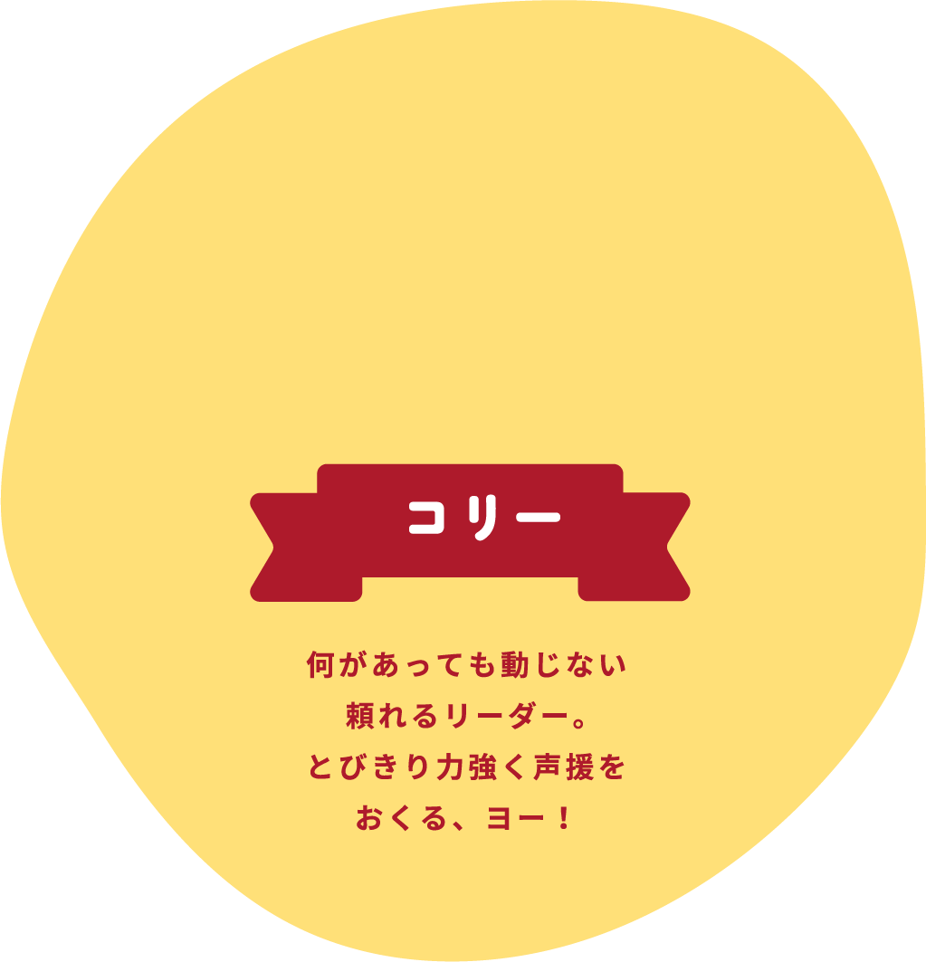 コリー 何があっても動じない頼れるリーダー。とびきり力強く声援をおくる、ヨー!