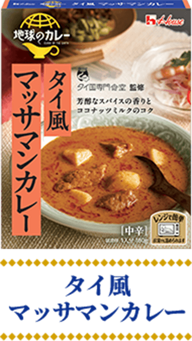 地球のカレー タイ風 マッサマンカレー