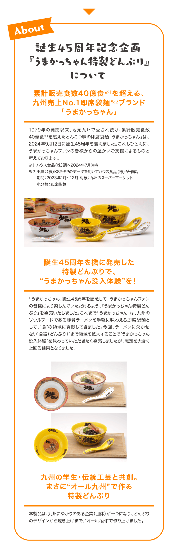 About 誕生45周年記念企画『うまかっちゃん特製どんぶり』について