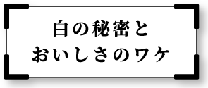 白の秘密とおいしさのワケ