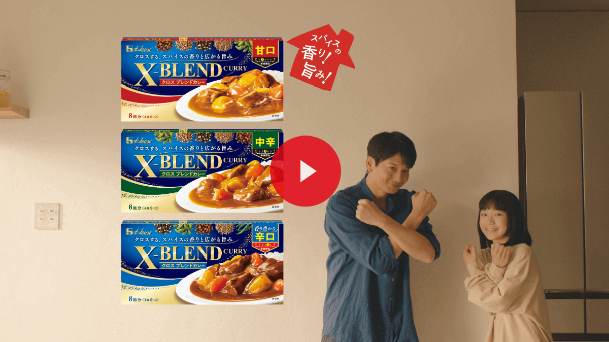 X-BLEND CURRY(クロスブレンドカレー)「これがスパイスフル!」篇
